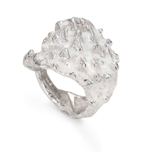 Holdfast Ring