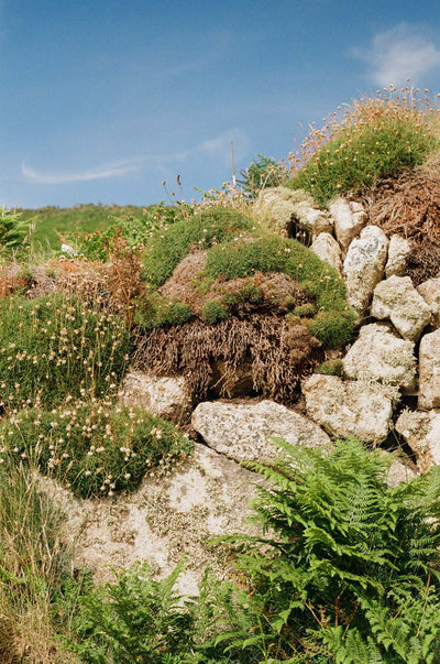 Ancient Boundaries: West Penwith's Living History
