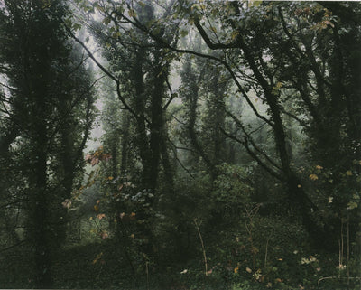 Ithell Colquhoun: Rebel, Mystic and Artist