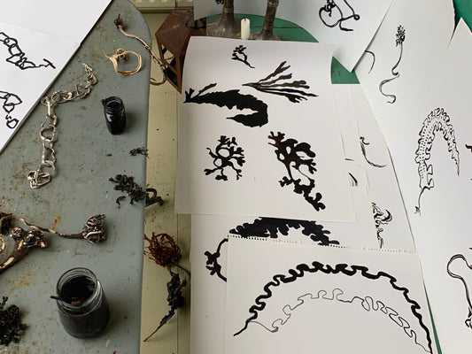 Seaweed Drawings