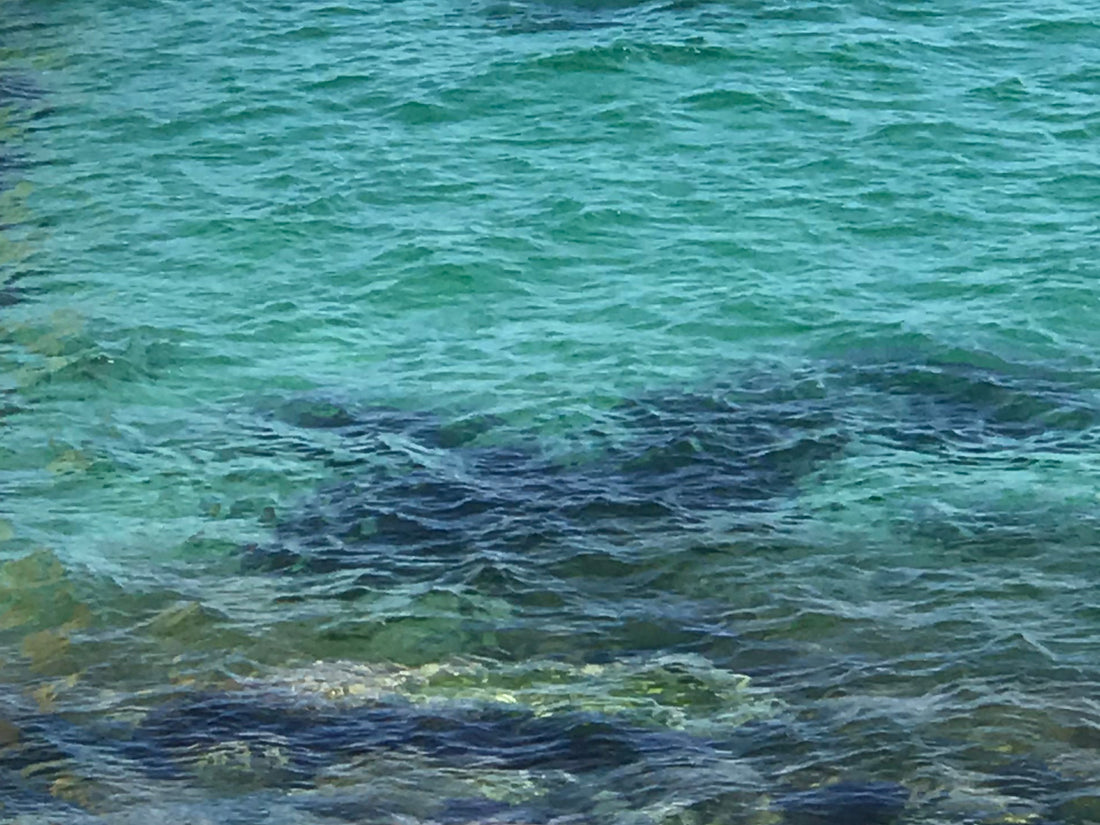 Colours of the coast