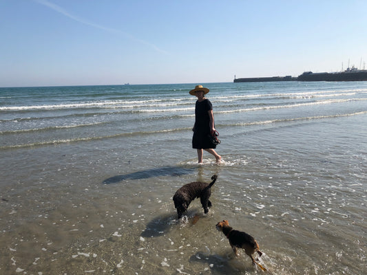 Winter walks in Cornwall.