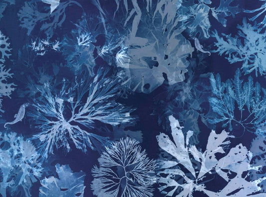 Pioneering Inspiration