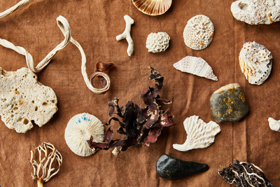 Emily’s Sourcebook Vol. I