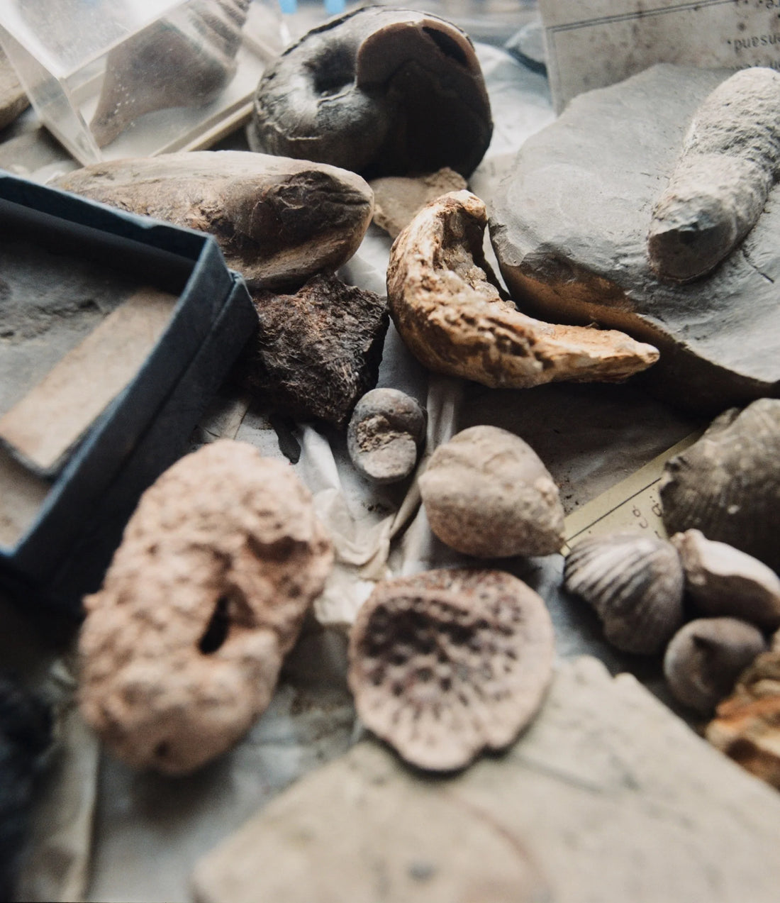 Emily’s Sourcebook Vol. I