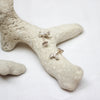 Coral Nugget Silver Studs Sample