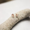 Samphire Studs 9ct Rose (Small)