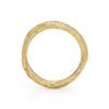Scattered Ice Ripple Ring